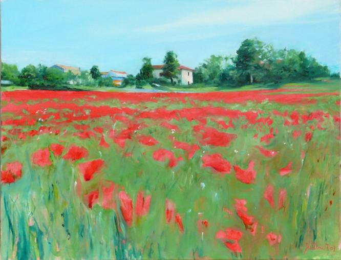 Champs de coquelicots en Provence - Philippe Juttens - Cliquer pour afficher en grand