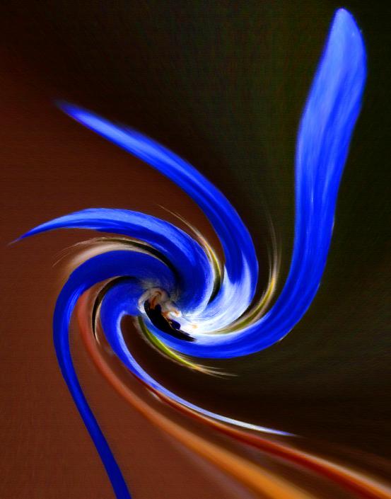 anamorphose 01 - Mohamed Harireche