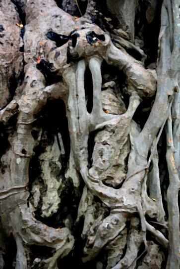 arbre 016 - Mohamed Harireche