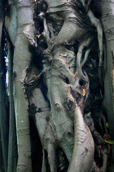 arbre 2 - Mohamed Harireche