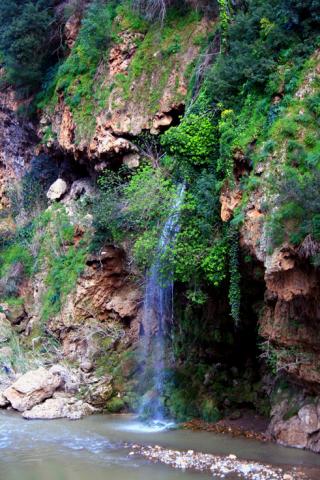 cascade à lakhdaria - Mohamed Harireche