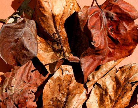 composition 02 - Mohamed Harireche