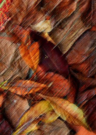 composition d' automne - Mohamed Harireche