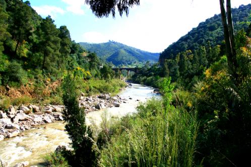 gorges de lakhdaria - Mohamed Harireche