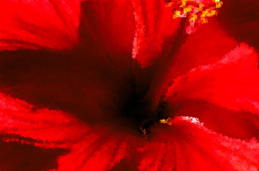 un hibiscus traite 2 - Mohamed Harireche - Click to enlarge