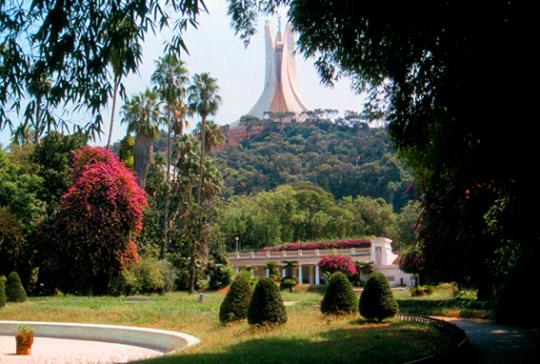 jardin d'essais du hamma - Mohamed Harireche
