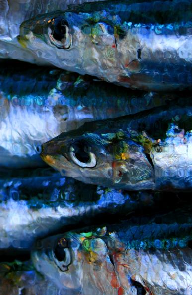 la sardine 5 - Mohamed Harireche