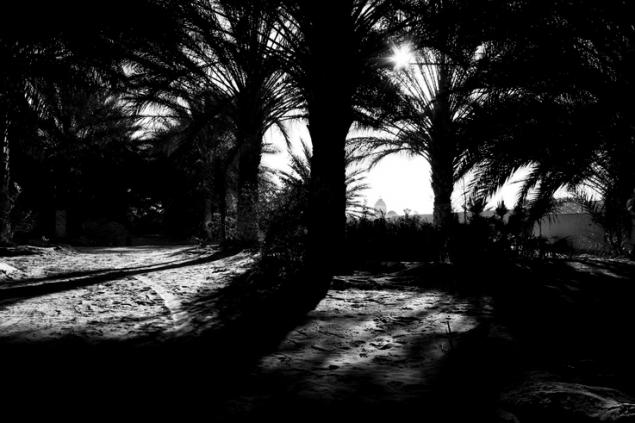 le contre-jour 1 - Mohamed Harireche - Click to enlarge