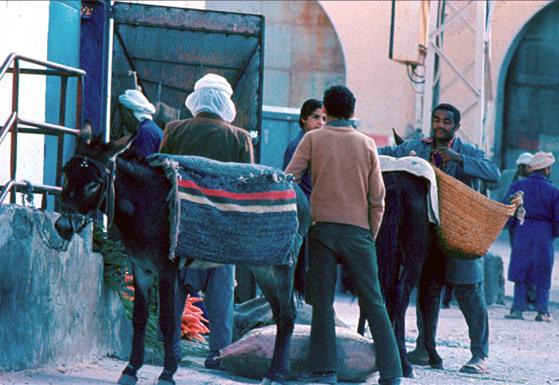 le marché de ghardaia 2 - Mohamed Harireche