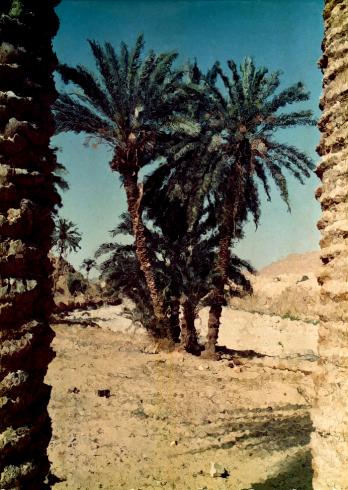 le moulin ferréro 3 - Mohamed Harireche