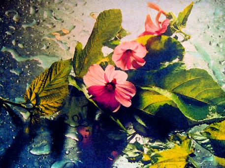 nature morte 1 - Mohamed Harireche