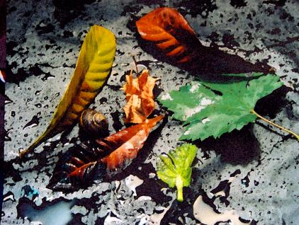 nature morte 2 - Mohamed Harireche