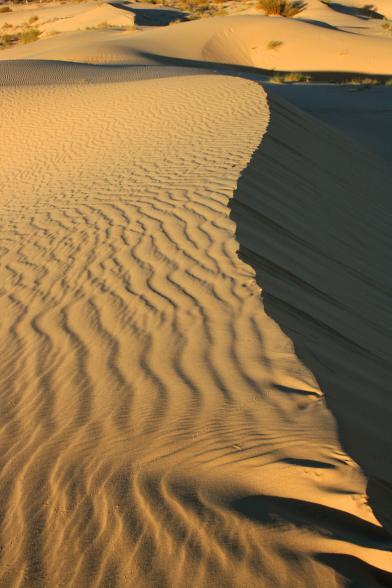 ondune - Mohamed Harireche