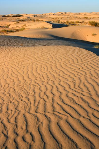 ondune 1 - Mohamed Harireche
