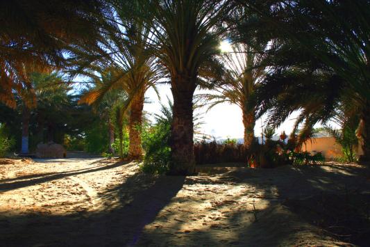 palmerai 2 - Mohamed Harireche