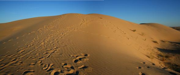 panoramique de dune 03 - Mohamed Harireche - Click to enlarge