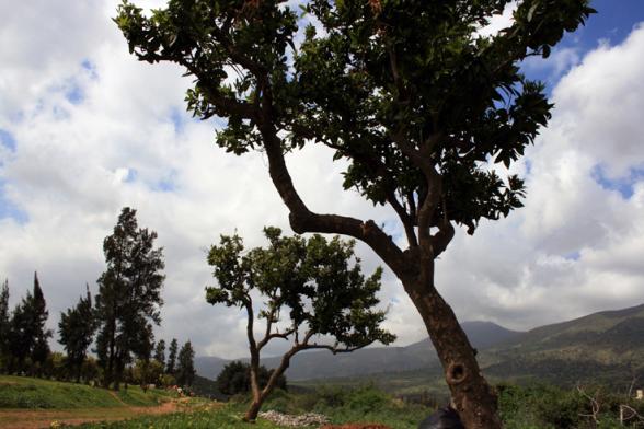 paysage de lakhdaria 1 - Mohamed Harireche - Click to enlarge