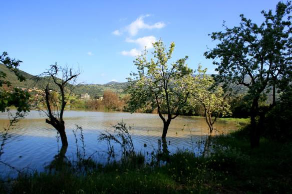 paysage au printemp 2 - Mohamed Harireche - Cliquer pour afficher en grand