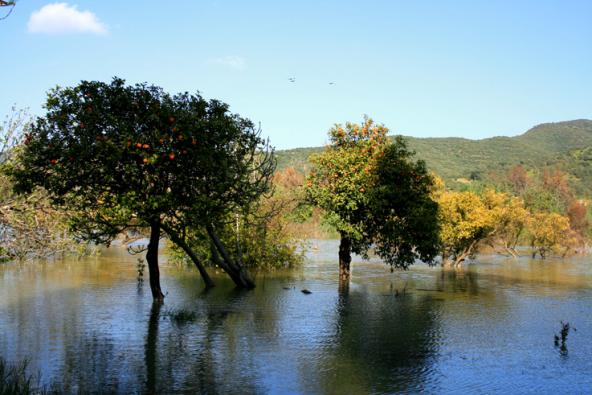 paysage au printemp 3 - Mohamed Harireche - Cliquer pour afficher en grand