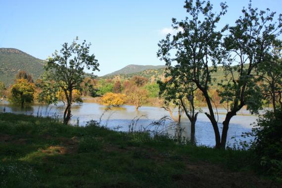 paysage au printemp 4 - Mohamed Harireche