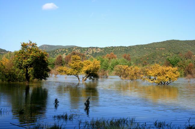 paysage au printemp 5 - Mohamed Harireche - Click to enlarge