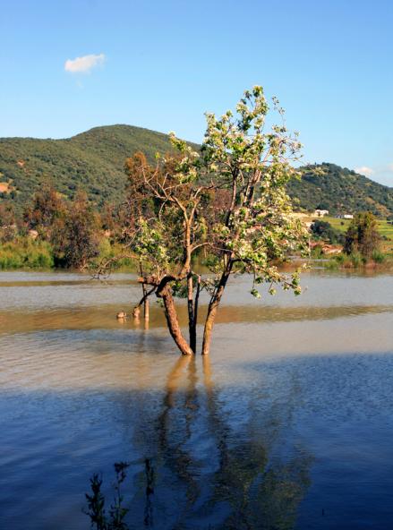 paysage au printemp 7 - Mohamed Harireche