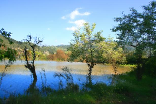 paysage de campagne - Mohamed Harireche - Cliquer pour afficher en grand