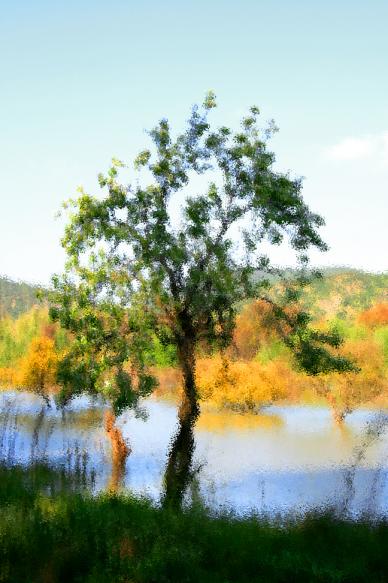 paysage de campagne 3 - Mohamed Harireche