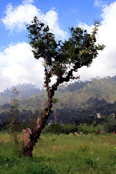 paysage de printemp - Mohamed Harireche
