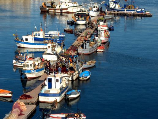 port de péche - Mohamed Harireche
