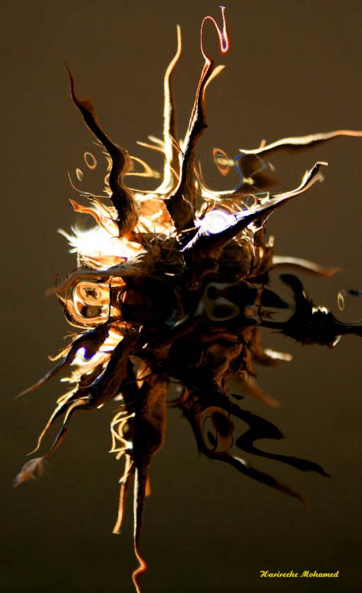 structure - Mohamed Harireche