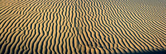 ondune 2 - Mohamed Harireche