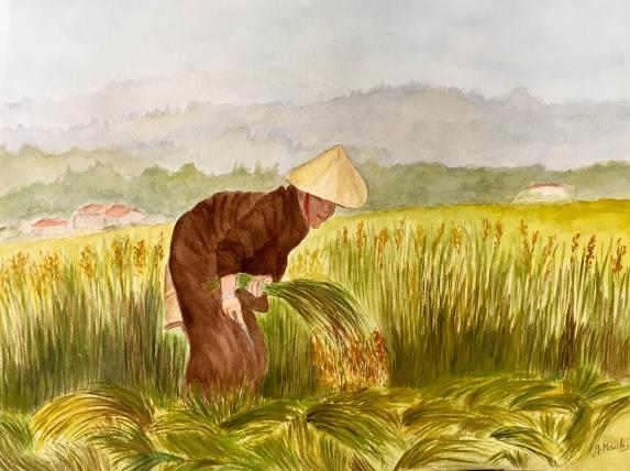 Récolte de riz - Germaine Mauclere