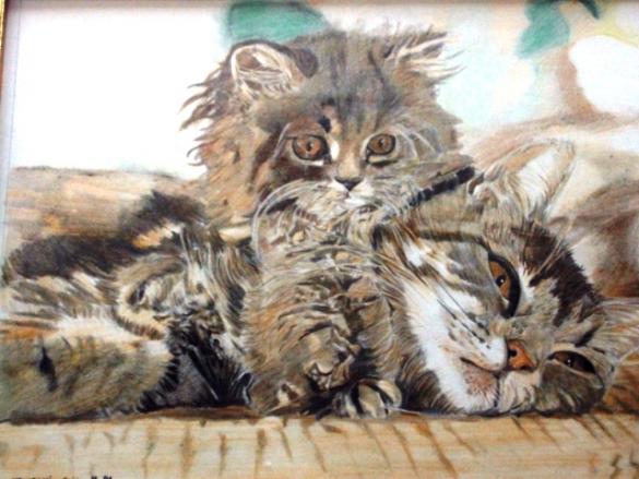 Chaton et sa mère - Eric Nowacki - Click to enlarge