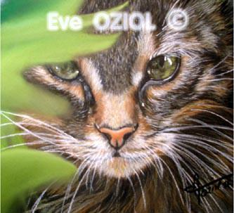 Cache-cache - Eve Oziol
