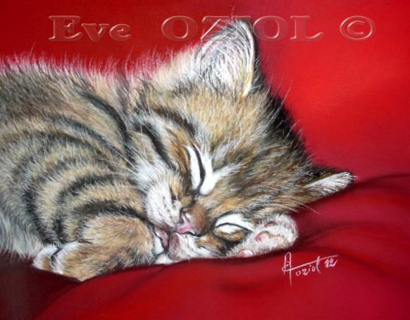 Grosse fatigue ! - Eve Oziol - Cliquer pour afficher en grand