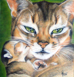 Chat l'heureux moment - Eve Oziol