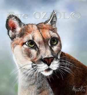 Cougar - Eve Oziol