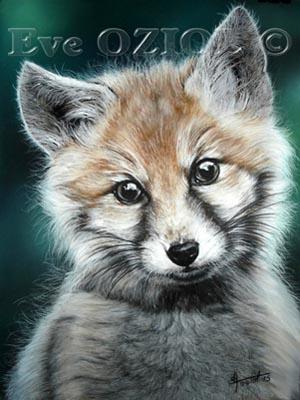 Baby Fox - Eve Oziol