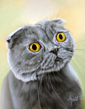 Oui ? - Eve Oziol