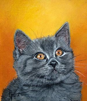 Chartreux junior - Eve Oziol