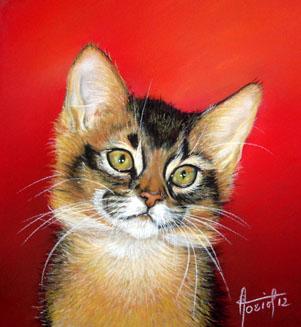 Frimousse - Eve Oziol