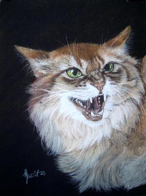 Grrr... - Eve Oziol