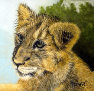 Lionceau - Eve Oziol