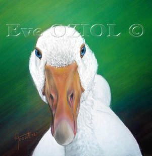 Qu'oie ? - Eve Oziol