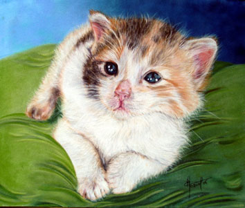 Regard tendresse - Eve Oziol