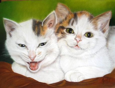 Un p'tit sourire - Eve Oziol
