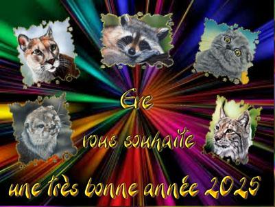 voeux 2025 - Eve Oziol