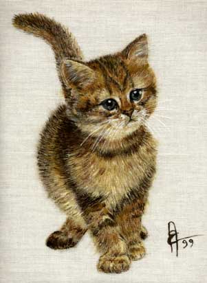 Sir Junior - Eve Oziol