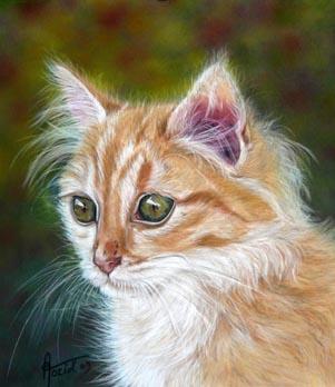 Ti-Nours - Eve Oziol